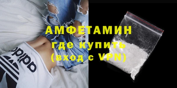 прущие грибы Инсар