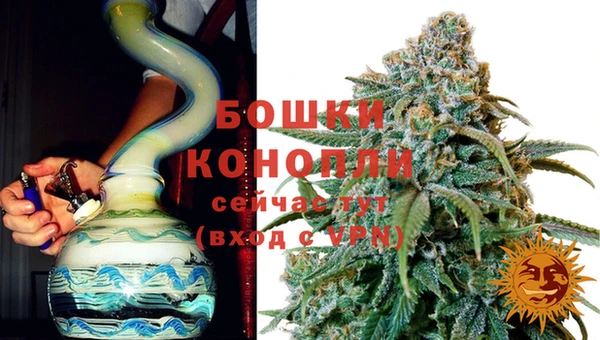 прущие грибы Инсар