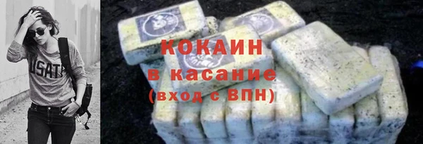 прущие грибы Инсар