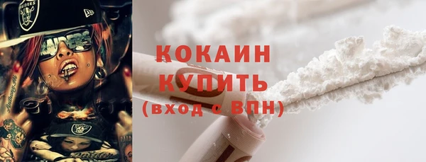 гашик Инта