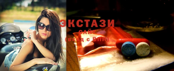 гашик Инта