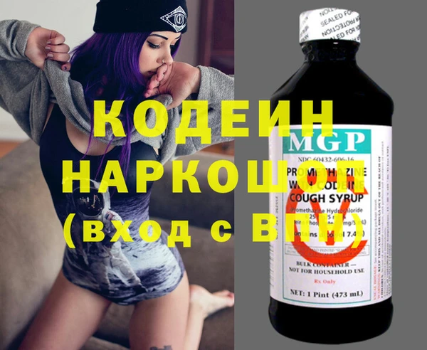 прущие грибы Инсар