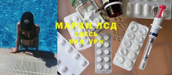гашик Инта