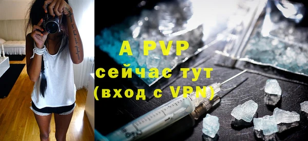 прущие грибы Инсар