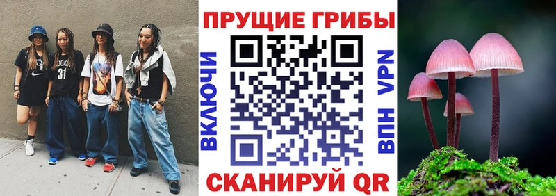 Галлюциногенные грибы прущие грибы  Купить где  Урень 