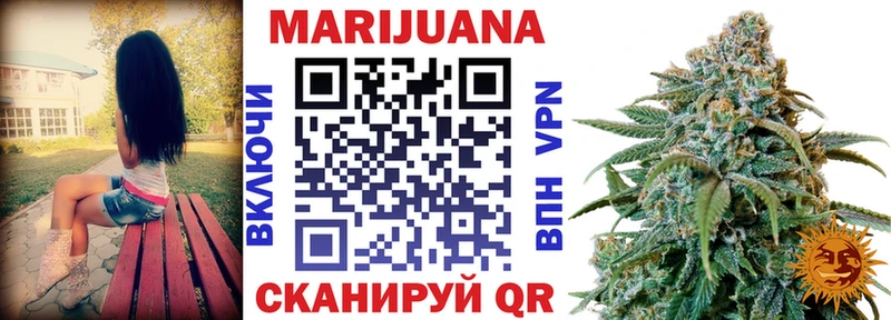 Конопля Amnesia  Купить  Урень 